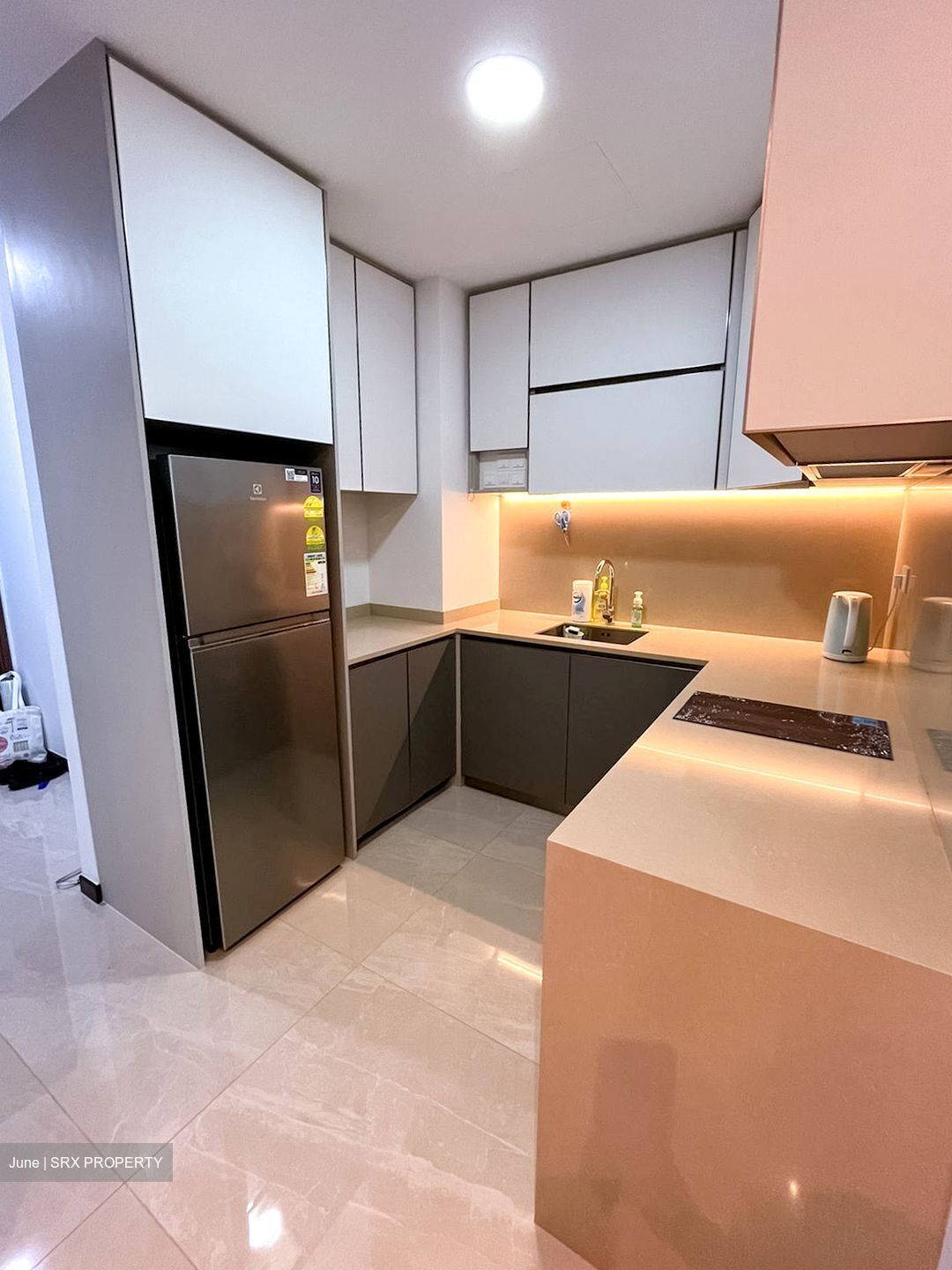 Normanton Park (D5), Apartment #455884851